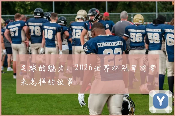 足球的魅力，2026世界杯冠军将带来怎样的故事